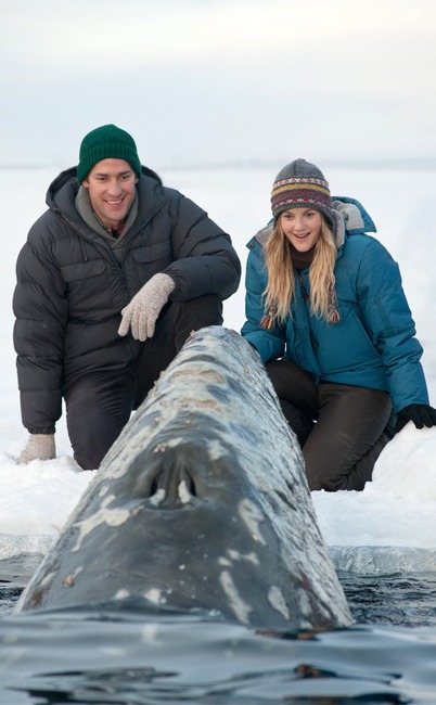 John Krasinski, Big Miracle